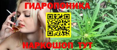 MDMA Premium VHQ Камышлов
