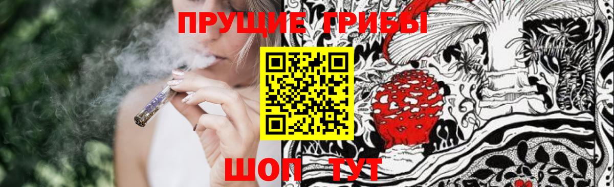 Псилоцибиновые грибы прущие грибы Чехов